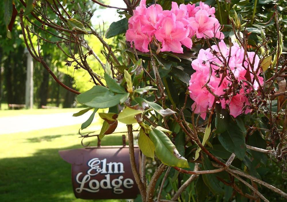 Elm Lodge Брайт Екстер'єр фото